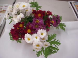 DSCN5000.JPG