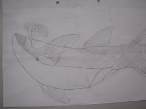 DSCN5031.JPG