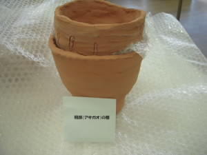 DSCN5053.JPG