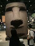 IMG_0161.jpg