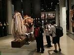 IMG_0344.jpg