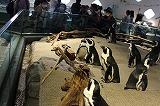 IMG_3351.jpg