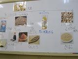 IMG_1595.jpg