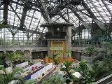 IMG_4219.jpg