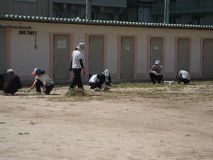 2008-01-01 001 007.JPG