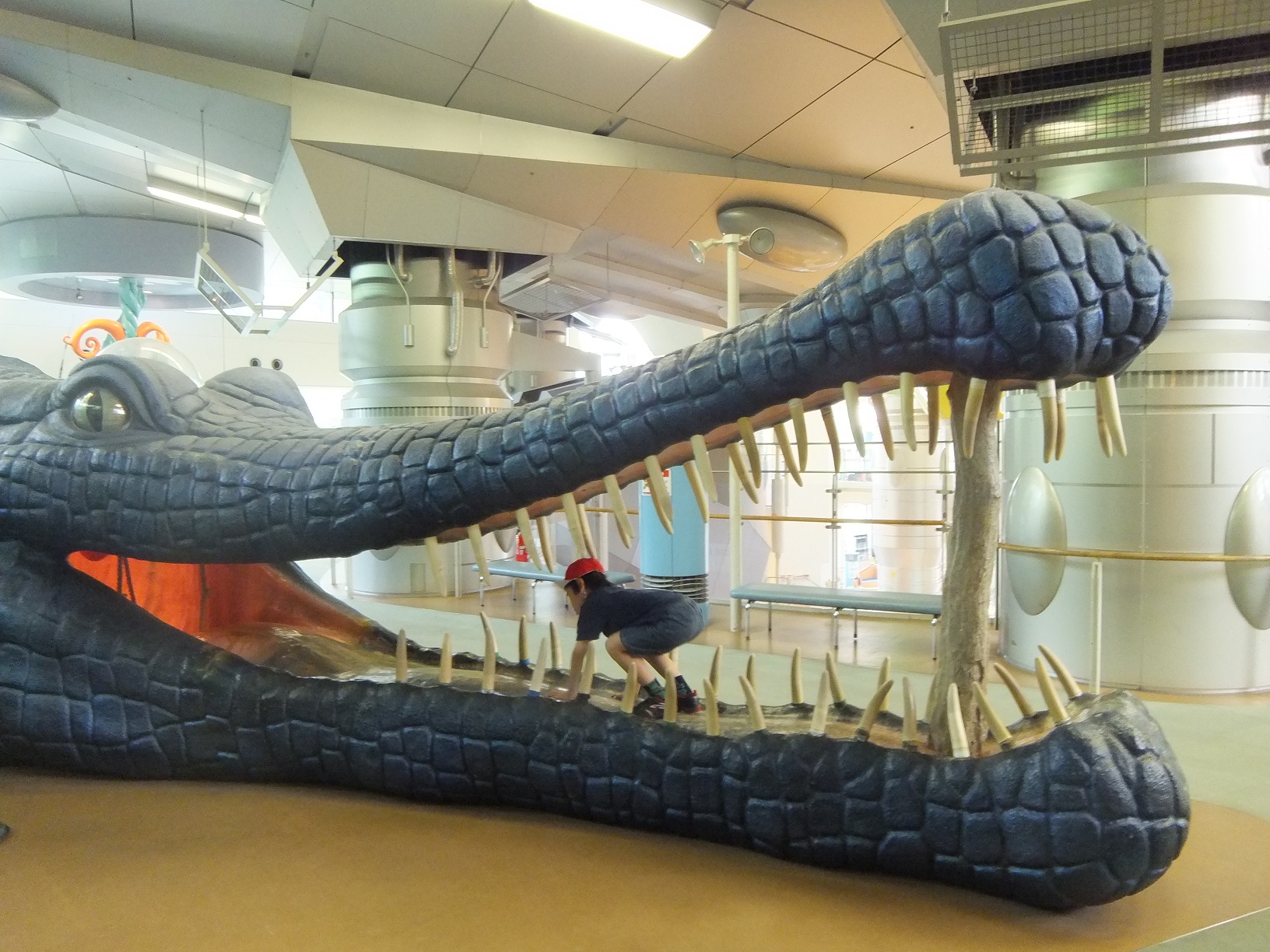 DSCF5575.JPG