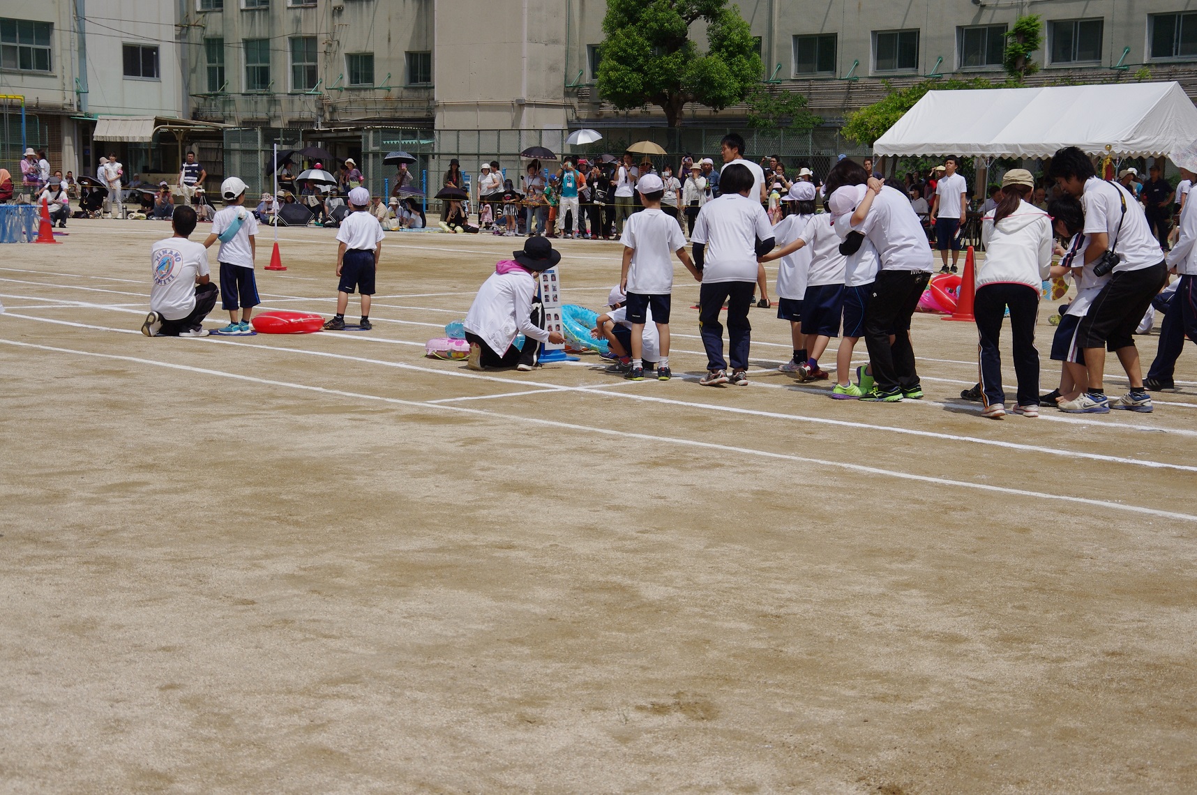 IMGP6517.JPG