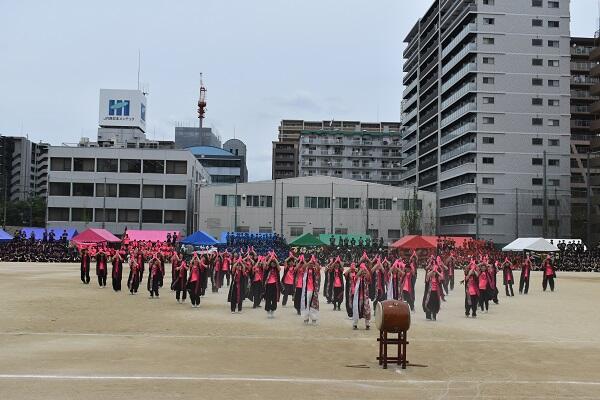 DSC_0181.JPG
