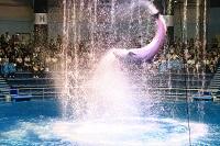 160928-13.JPG