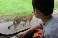 IMG_0409.JPG