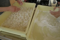 0308-2.JPG