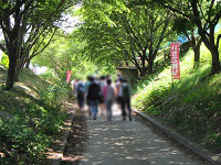 2015052603.jpg