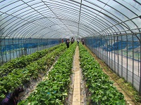 2015052604.jpg