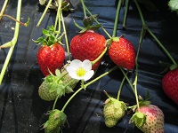 2015052605.jpg