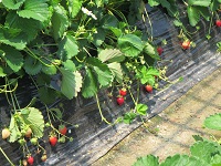2015052606.jpg
