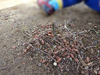 DSC02117.JPG
