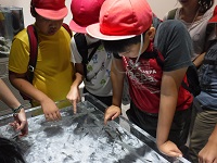 DSCF1630.JPG
