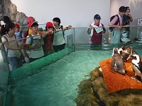DSCF1651.JPG