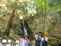 DSCN0576.JPG