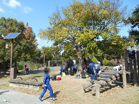 DSCN0591.JPG