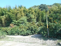 DSCN0610.JPG