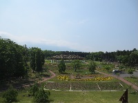s14.jpg