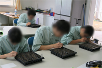 NOU3.jpg