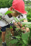 写真３.png