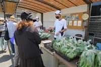 IMG_7401.jpg