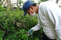 コースブログ（府庁実習）②.jpg