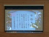 190705_tanabata05.jpg