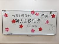 20170412b.JPG
