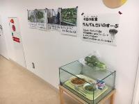 20170609KYUSHOKU-2.jpg