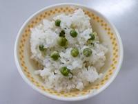 20190426KYUSHOKU-5.jpg