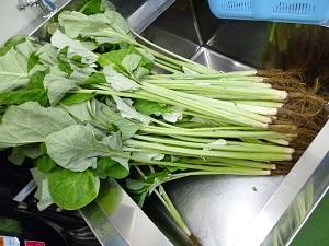 H30.3.1 給食4.JPG