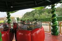 H30.10.11 修学旅行3.JPG