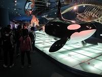 IMG_0307.JPG