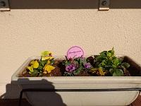 IMG_20211124_131443491.jpg
