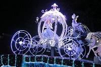 IMG_2115.JPG