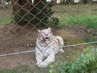 IMG_2814.jpg