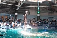 IMG_2935.JPG