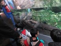 IMG_6780.JPG