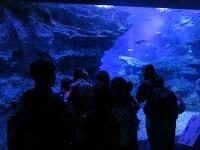 IMG_6817.JPG