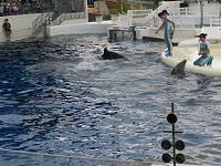 H29.10.12 中2校外学習８.JPG