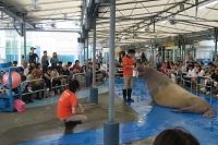 H30.10.10 修学旅行4.JPG