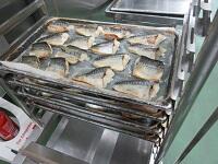 IMG_0978.JPG