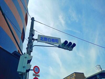 白梅町信号機.jpeg