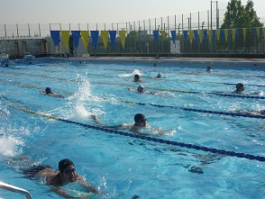 swim1.jpg