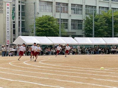 20240606_07.JPG