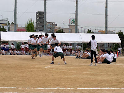 20240606_22.JPG